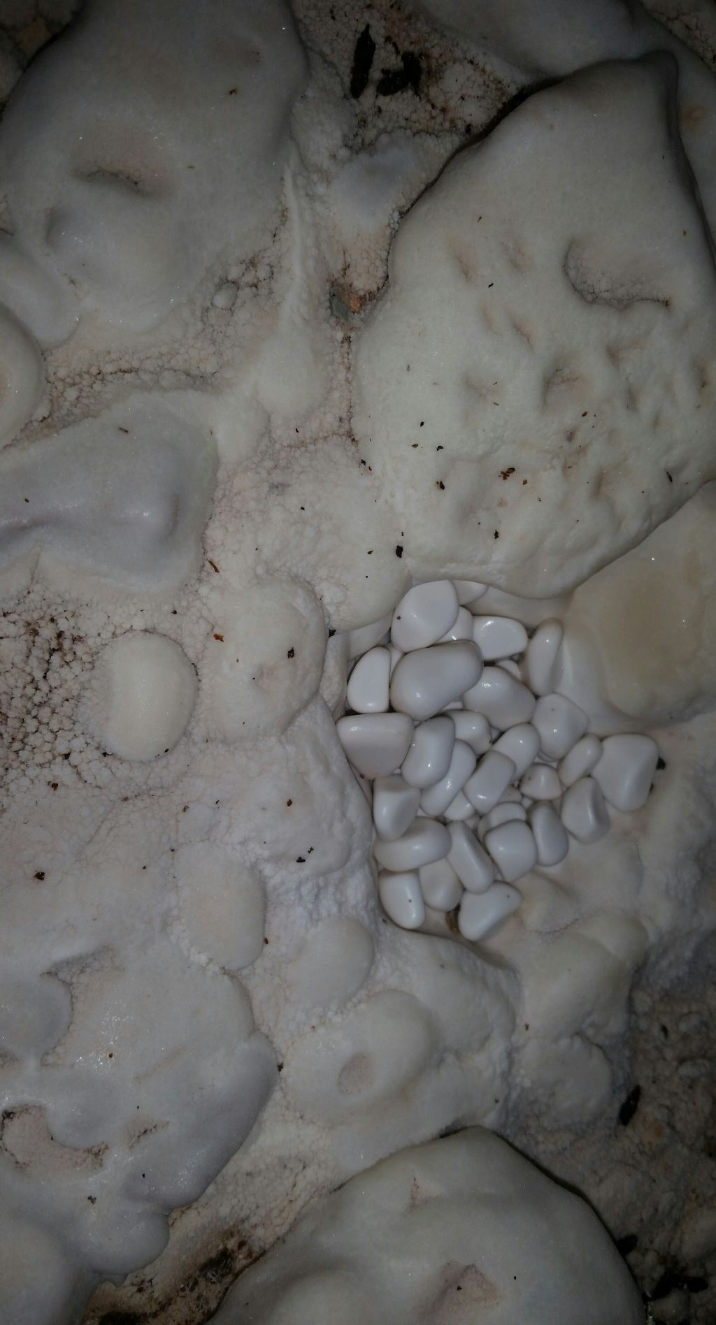 Pietruzze arrotondate in grotta